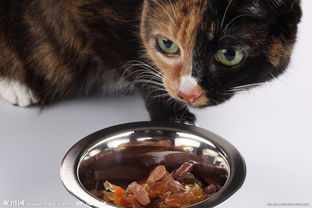 家禽家畜圖集 從飼養(yǎng)認知到資源下載